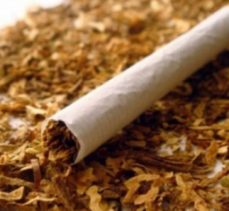 Tütün Mamülleri Kanser Riskini 20 Kat Artırıyor!
