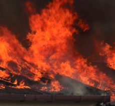 Birleşik Arap Emirlikleri’nin Kurucusunun Çiftliğinde Yangın