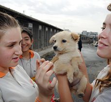 Büyükşehir’den Sertifikalı Pet Shop Eğitimi