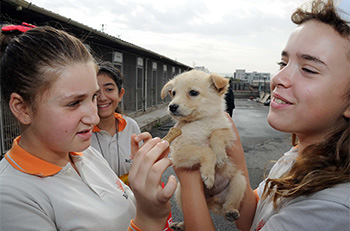 Büyükşehir’den Sertifikalı Pet Shop Eğitimi