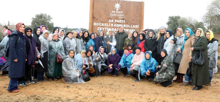AK Parti Kocaeli Kadın Kollarından Zeytin Dalı Ormanı