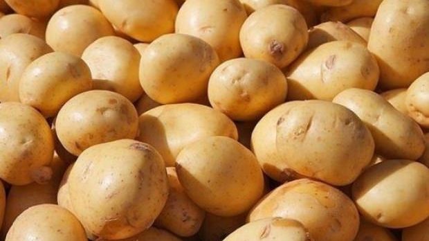 Patates fiyatları 2 TL’ye nasıl indi?