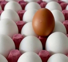 Yumurta üreticilerinden “stoka gerek yok” mesajı