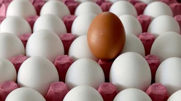 Yumurta üreticilerinden “stoka gerek yok” mesajı