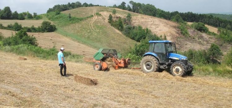 Büyükşehir’den çiftçilere yüzde 50 hibeli tohum desteği