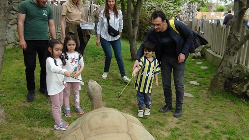 Türkiye’de sadece Darıca’da bulunan Aldabra kaplumbağası 103 yaşına girdi