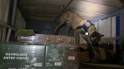 İstanbul ile Bursa’yı birbirine bağlayan Osmangazi Köprüsü’nün Dilovası tarafından polis