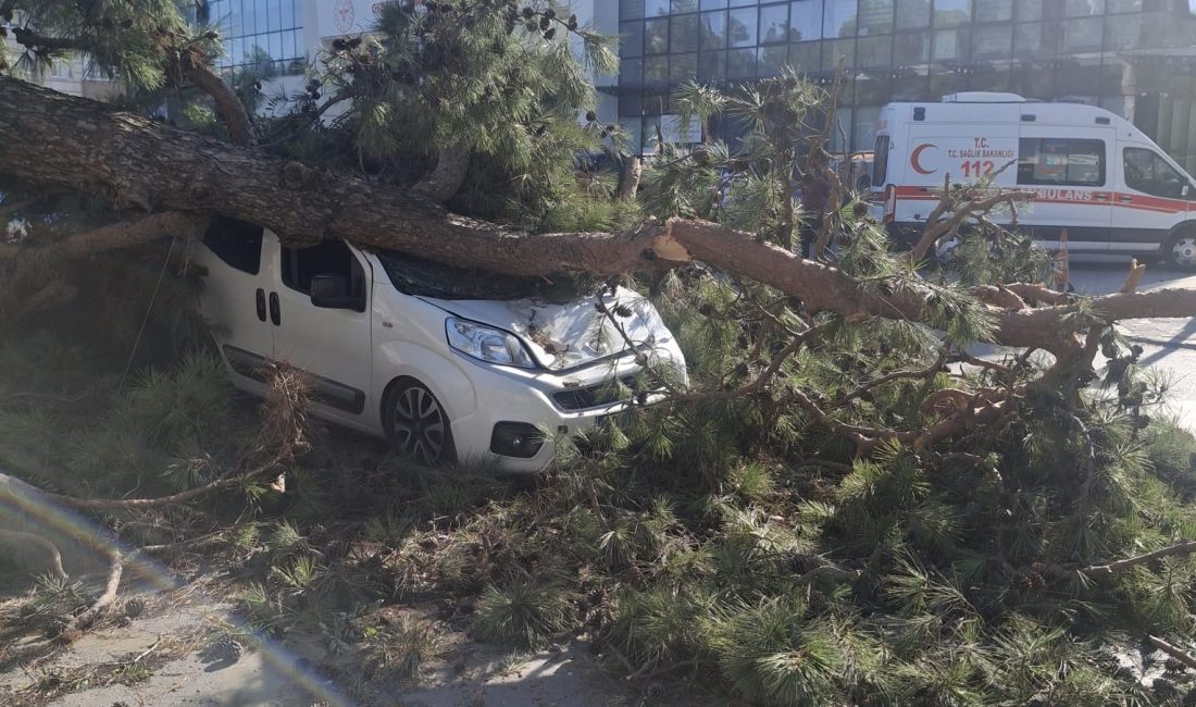 Gebze'nin Sultan Orhan Mahallesi'nde de bugün öğleden sonra   aniden esen