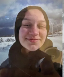 Gebze Akse Sapağı'nda  29 Ekim günü sabahı çöken Arslan