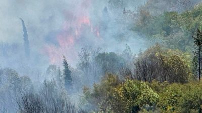 Dilovası'nda   bugün öğle saatlerinde  Dilovası Organize Sanayi Bölgesi’ne yakın