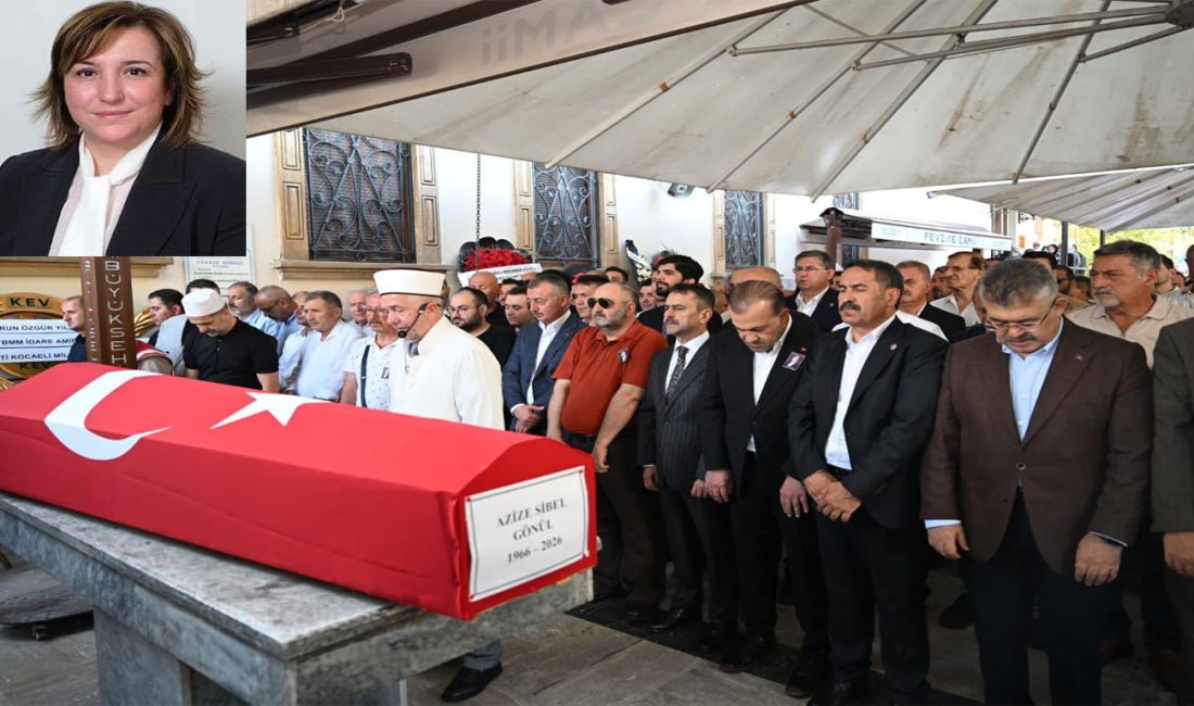 TBBM’de 23 ve 24. Dönem AK Parti Kocaeli Milletvekilliği yapan