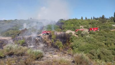 Gebze’nin Muallimköy Mahallesi’nde, Bilişim Vadisi yolu üzerinde bir araçta çıkan